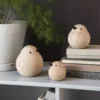Sparrow - Eik natur