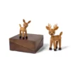 Star, Spirit & Spot - Bilde 2