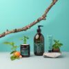Peppermint Basil Håndkrem - 30 ml - Bilde 3