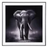FOTOKUNST - ELEFANT - Bilde 4