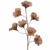 Kvist Fjærblomst - Mullvad - Bilde 2