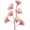 Kvist Fjærblomst - Gammel Rosa - Bilde 2