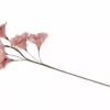 Kvist Fjærblomst - Gammel Rosa - Bilde 3