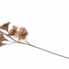 Kvist Fjærblomst - Mullvad - Bilde 3