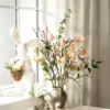 Kvist Fjærblomst - Aprikos